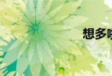 想多啦（想啦）