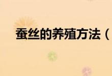 蚕丝的养殖方法(养蚕时需要注意什么)