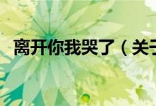 离开你我哭了（关于离开你我哭了的介绍）