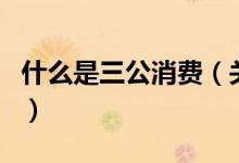 什么是三公消费（关于什么是三公消费的介绍）