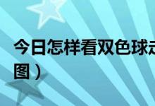 今日怎样看双色球走势图（怎样看双色球走势图）