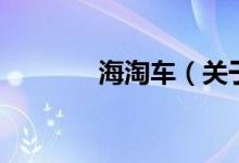 海淘车（关于海淘车的介绍）