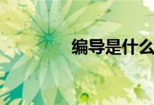 编导是什么（编导是什么）