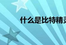 什么是比特精灵(比特精灵是啥)