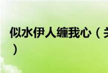似水伊人缠我心（关于似水伊人缠我心的介绍）