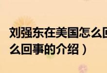 刘强东在美国怎么回事（关于刘强东在美国怎么回事的介绍）