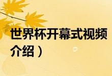 世界杯开幕式视频（关于世界杯开幕式视频的介绍）