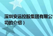 深圳安远控股集团有限公司（关于深圳安远控股集团有限公司的介绍）