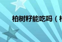 柏树籽能吃吗（柏树籽可以直接吃吗）