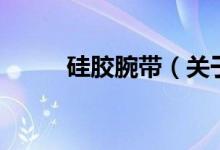 硅胶腕带（关于硅胶腕带的介绍）