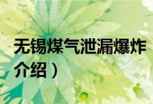 无锡煤气泄漏爆炸(关于无锡煤气泄漏爆炸的介绍)