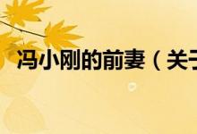 冯小刚的前妻（关于冯小刚的前妻的介绍）