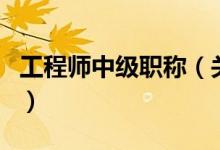 工程师中级职称（关于工程师中级职称的介绍）