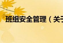 班组安全管理（关于班组安全管理的介绍）
