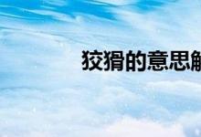 狡猾的意思解释(狡猾的意思)