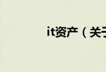 it资产（关于it资产的介绍）