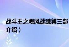 战斗王之飓风战魂第三部（关于战斗王之飓风战魂第三部的介绍）