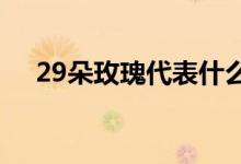29朵玫瑰代表什么（2朵玫瑰代表什么）