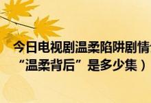 今日电视剧温柔陷阱剧情介绍（你好请问一下电视剧连续剧“温柔背后”是多少集）