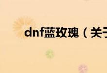 dnf蓝玫瑰（关于dnf蓝玫瑰的介绍）