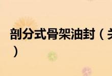 剖分式骨架油封（关于剖分式骨架油封的介绍）