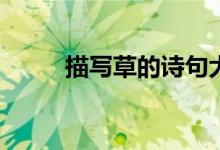描写草的诗句大全(描写草的诗句)