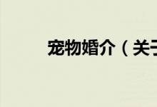 宠物婚介（关于宠物婚介的介绍）