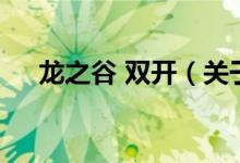 龙之谷 双开（关于龙之谷 双开的介绍）
