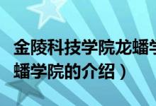 金陵科技学院龙蟠学院（关于金陵科技学院龙蟠学院的介绍）