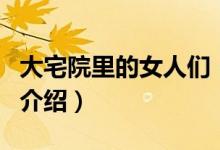 大宅院里的女人们（关于大宅院里的女人们的介绍）