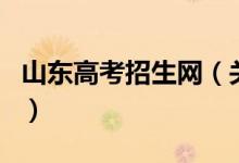 山东高考招生网（关于山东高考招生网的介绍）