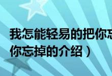 我怎能轻易的把你忘掉（关于我怎能轻易的把你忘掉的介绍）