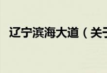 辽宁滨海大道（关于辽宁滨海大道的介绍）