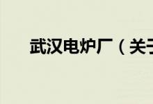 武汉电炉厂（关于武汉电炉厂的介绍）
