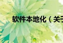 软件本地化（关于软件本地化的介绍）