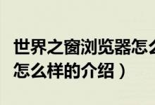 世界之窗浏览器怎么样（关于世界之窗浏览器怎么样的介绍）