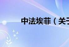 中法埃菲（关于中法埃菲的介绍）