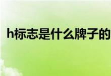 h标志是什么牌子的车（H是什么车的标志）