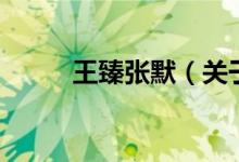 王臻张默（关于王臻张默的介绍）