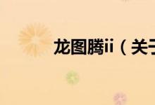 龙图腾ii（关于龙图腾ii的介绍）