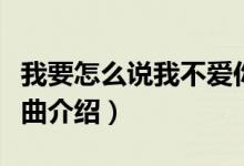 我要怎么说我不爱你歌词（怎么说我不爱你歌曲介绍）