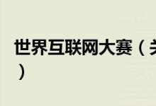 世界互联网大赛（关于世界互联网大赛的介绍）