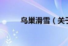 鸟巢滑雪（关于鸟巢滑雪的介绍）