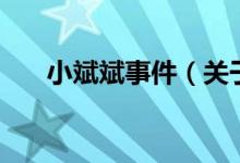 小斌斌事件（关于小斌斌事件的介绍）