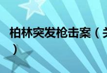 柏林突发枪击案（关于柏林突发枪击案的介绍）