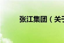 张江集团（关于张江集团的介绍）