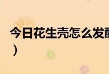 今日花生壳怎么发酵种兰花好（花生壳怎么用）