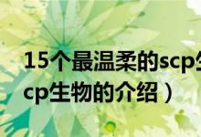 15个最温柔的scp生物（关于15个最温柔的scp生物的介绍）