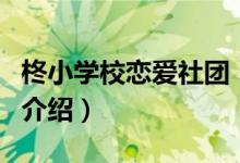 柊小学校恋爱社团（关于柊小学校恋爱社团的介绍）