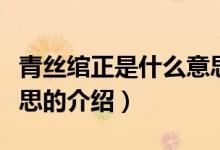 青丝绾正是什么意思（关于青丝绾正是什么意思的介绍）